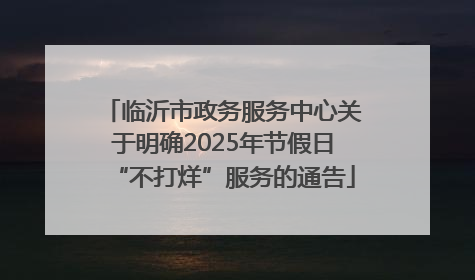 临沂市政务服务中心关于明确2025年节假日“不打烊”服务的通告